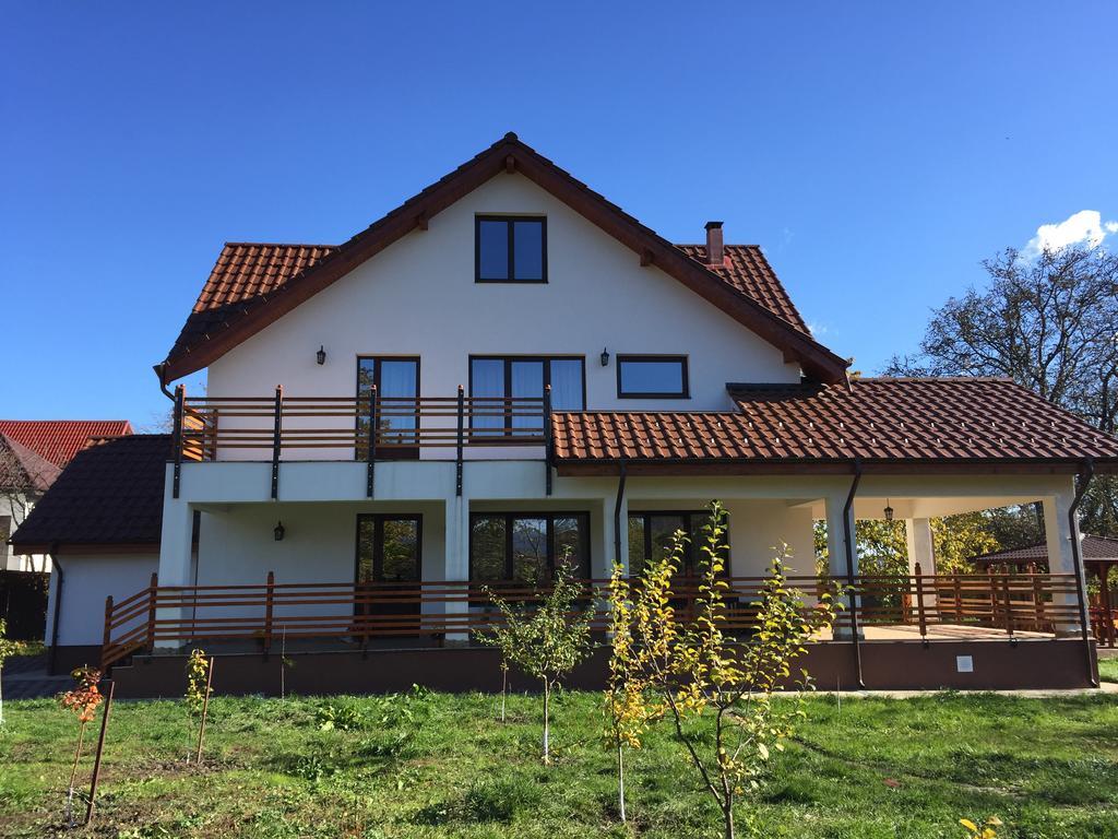 Pensiunea Tania-Nora Alexandru cel Bun Экстерьер фото